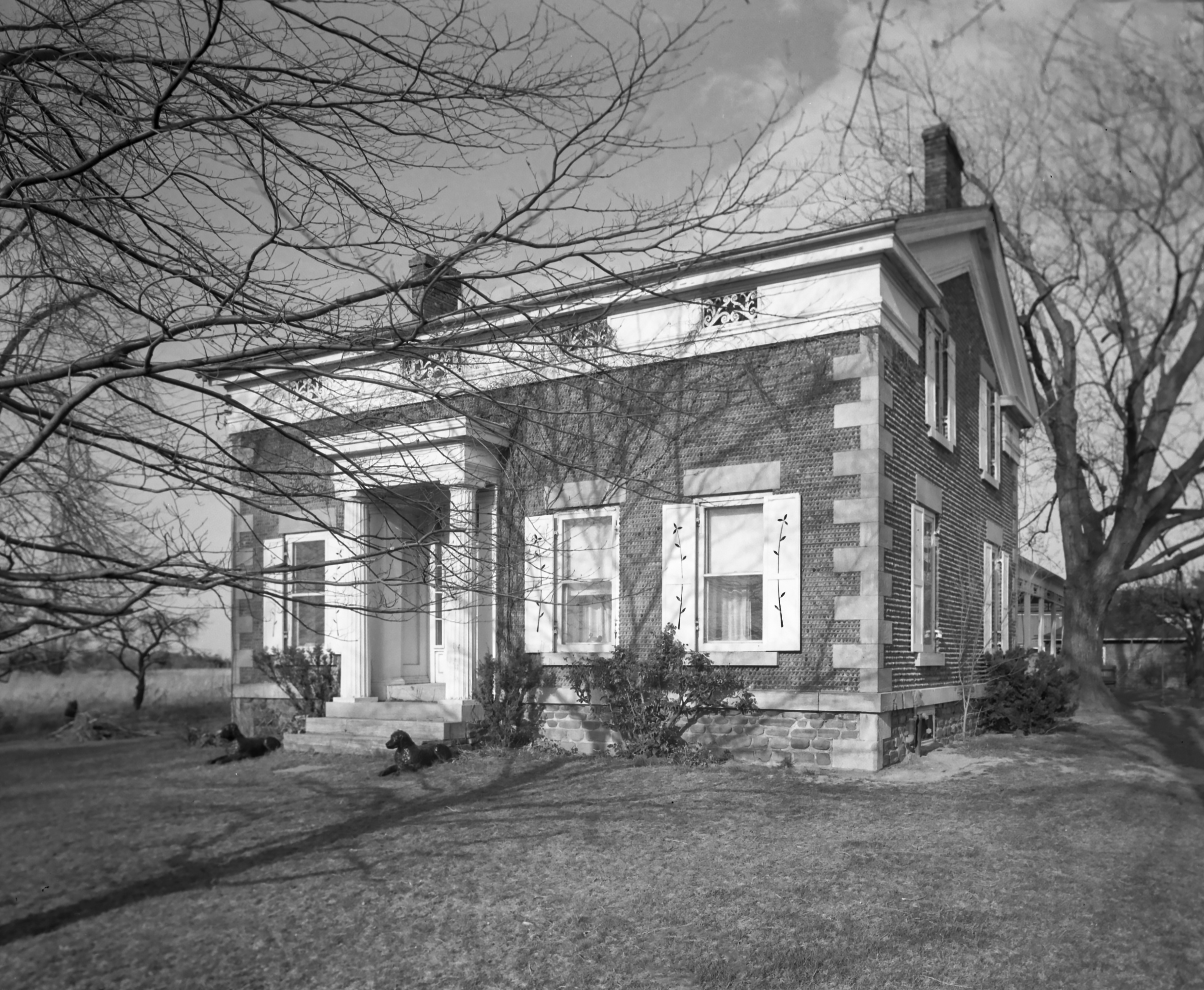 GP Niagara Wilson Wil-3_3 N